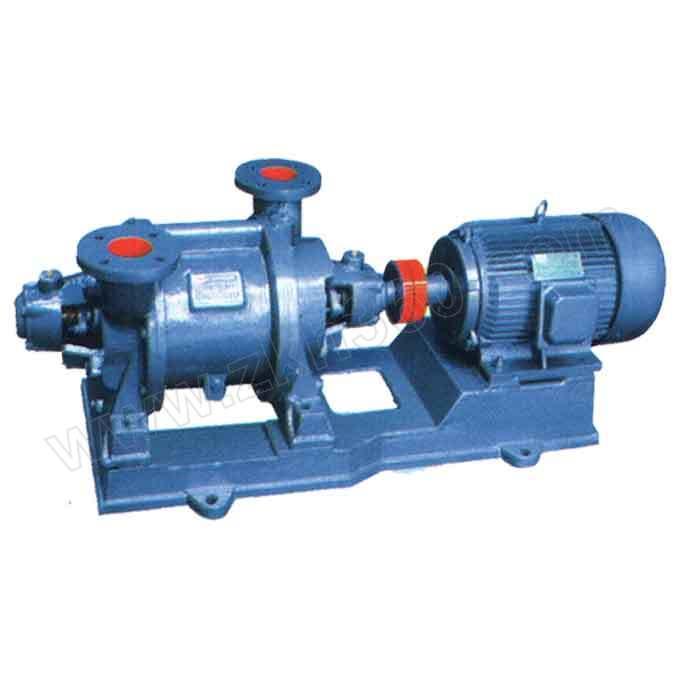 阳光泵业 水环真空泵 SZ-1 铸铁 普通电机 1台 水环真空泵 铸铁水环真空泵 阳光泵业水环真空泵 SZ - 1水环真空泵