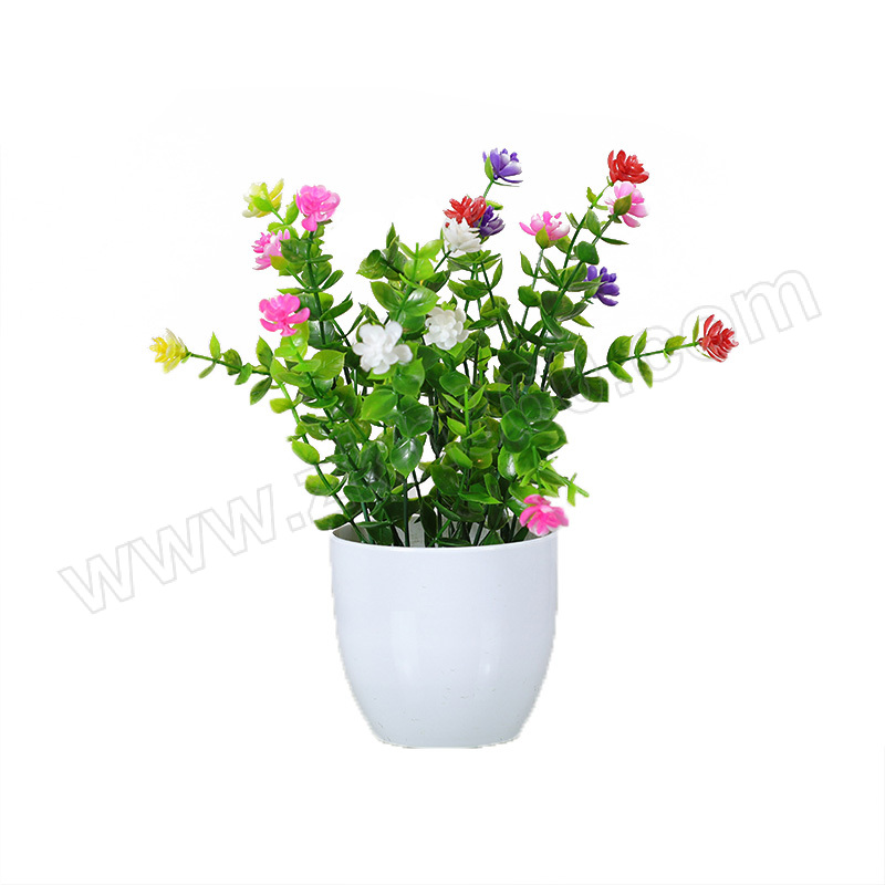第零区 仿真植物 DLQ-5599 尤加利小玫瑰-混色 小盆栽 约25×24cm 盆材质塑料 1个 第零区仿真植物 尤加利小玫瑰混色小盆栽 仿真植物小盆栽 第零区DLQ - 5599 苗木