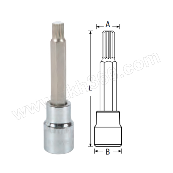 钢盾 12.5mm系列55mm长十二角旋具套筒 S015281 十二角套筒 12角套筒 十二角花键套筒 旋具套筒 十二角旋具头套筒 12.5mm系列55mm长十二角旋具套筒