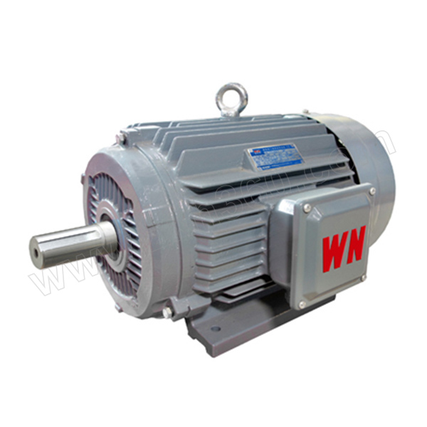 WANNANMOTOR/皖南电机 三相异步电机 YE3-100L2-4 B3 IE3三级能效 3kW  侧右 1台